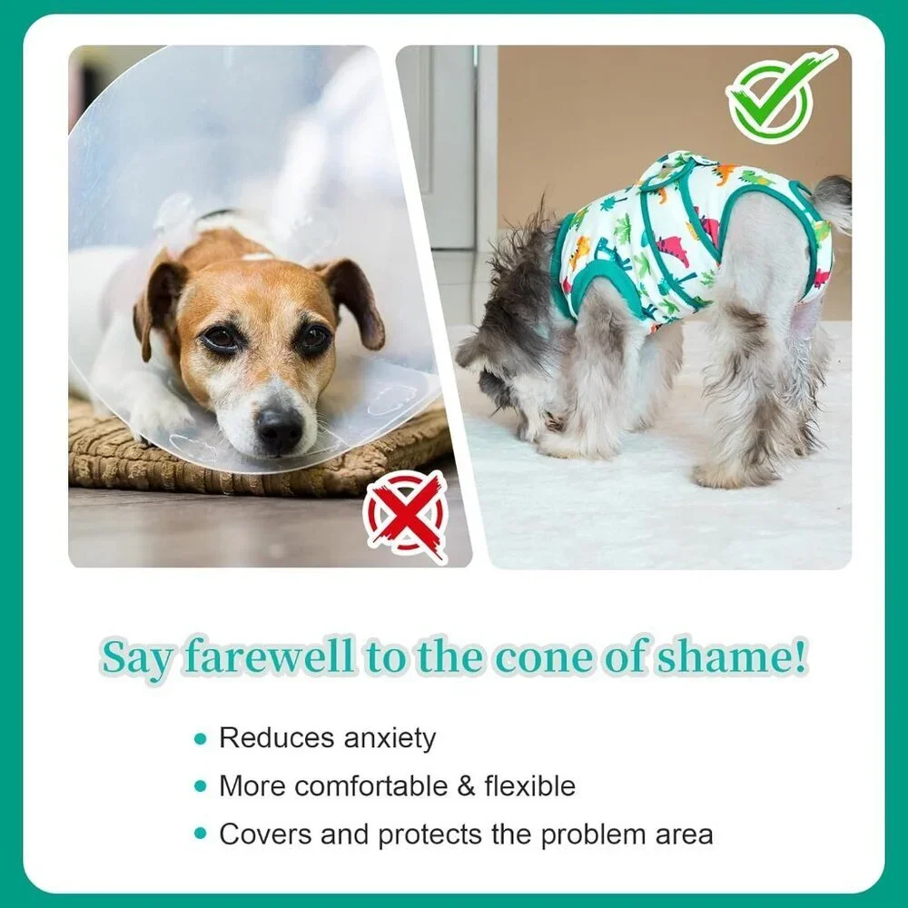 Dog Surgery Recovery Suit ,Dinosaur M